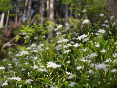 2010.5.4