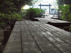 2010.9.19 (1)