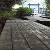 2010.9.19 (1)