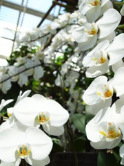 2010.9.18 (1)