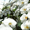 2010.9.18 (1)