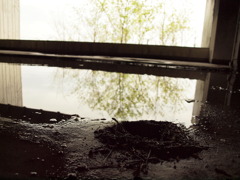 2010.4.29 (2)