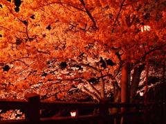 2010.4.8 (1)