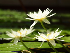 2010.9.18