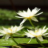 2010.9.18