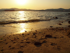 2010.4.29 (4)
