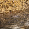 110330水の落ちるところ