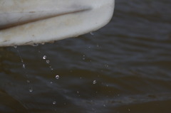 110225水飛沫