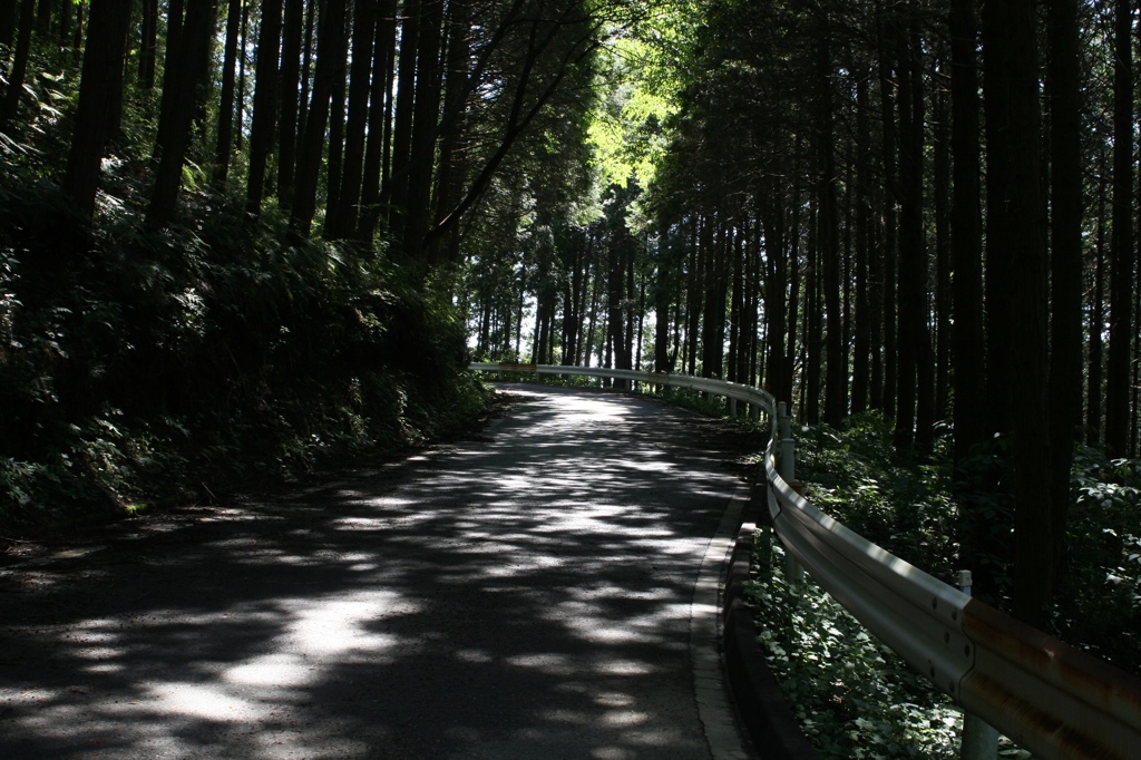 夏のドライブへ