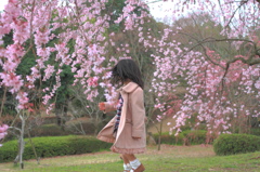 桜の中で