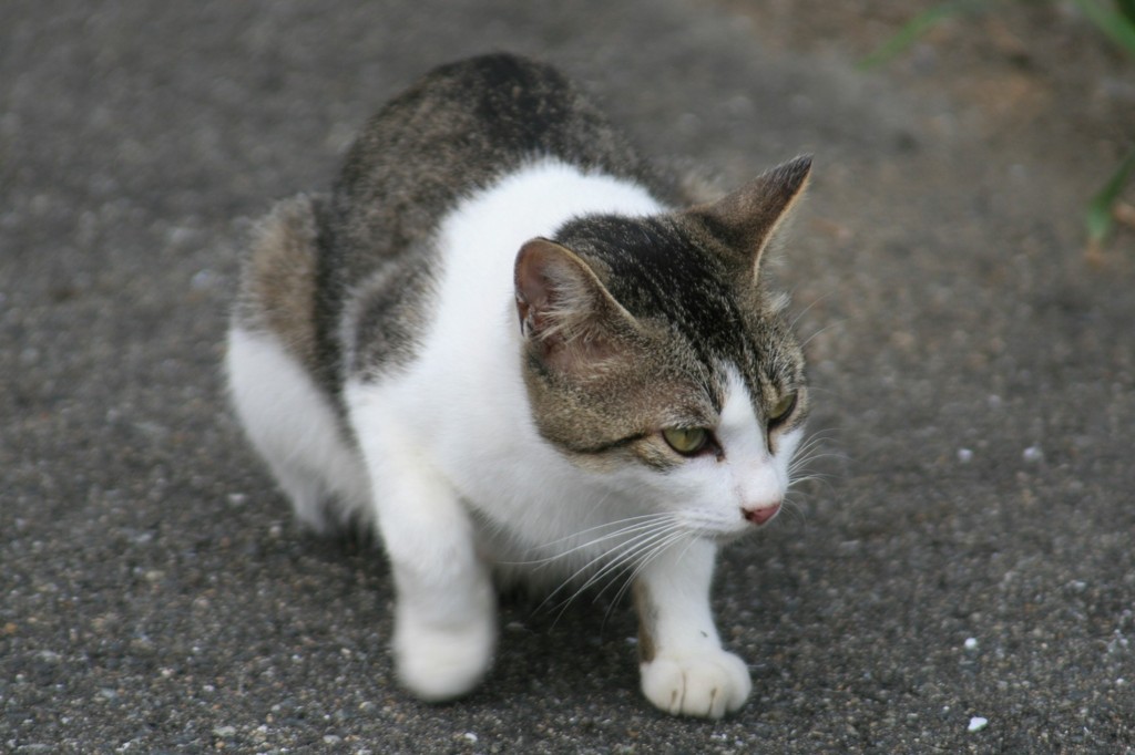 狙いを定めて・・・