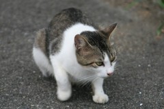 狙いを定めて・・・