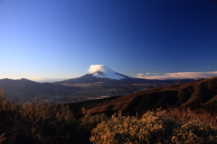 箱根からの眺望