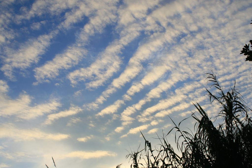 涼しい空