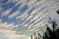 涼しい空