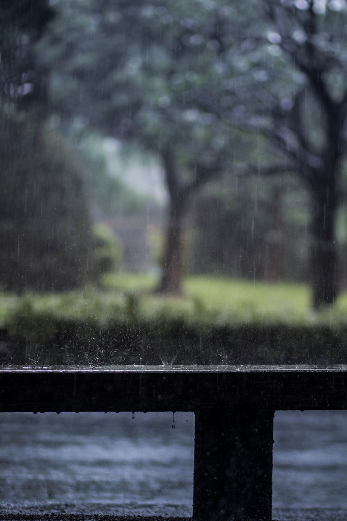 雨宿りの風景