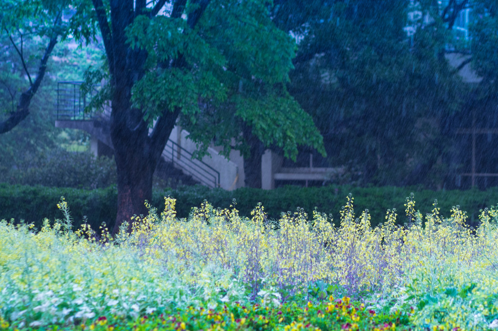 Rainy Day 2