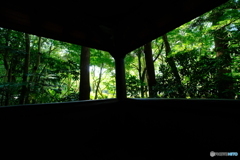 東屋から