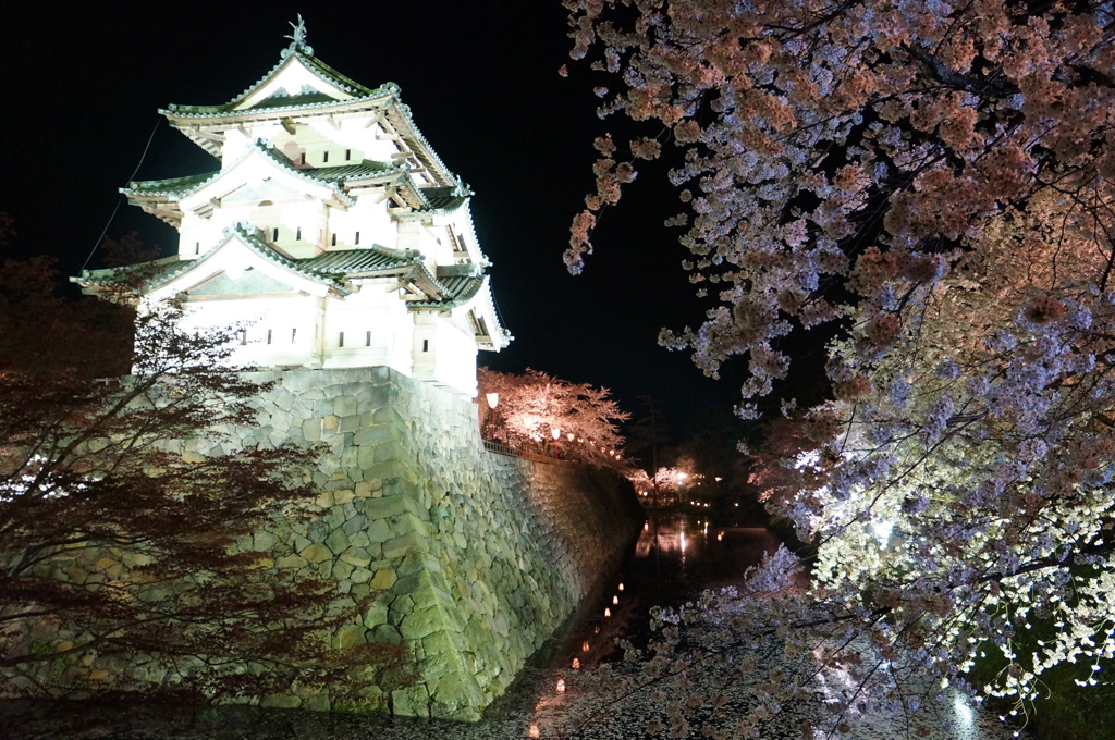 ライトアップされた弘前城と桜