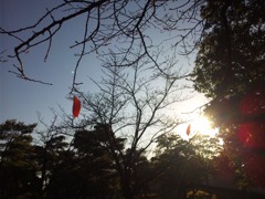 好古園