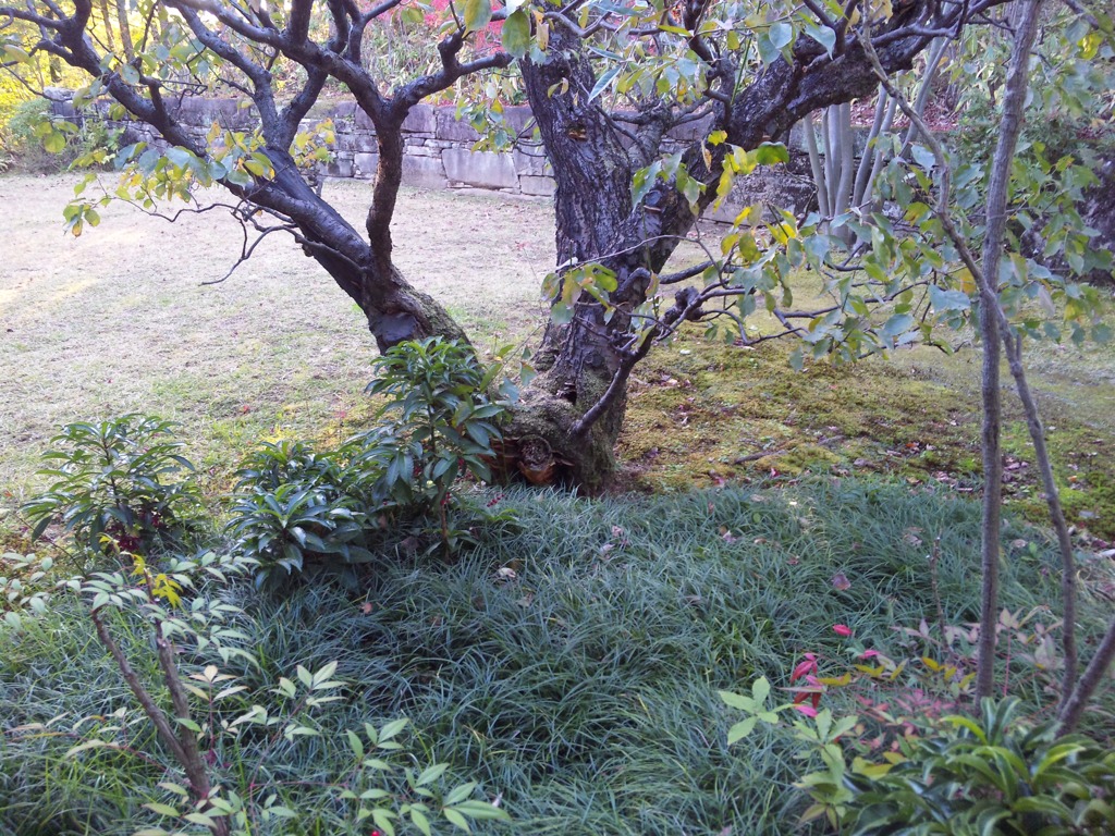 好古園