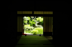 _IMG1968-