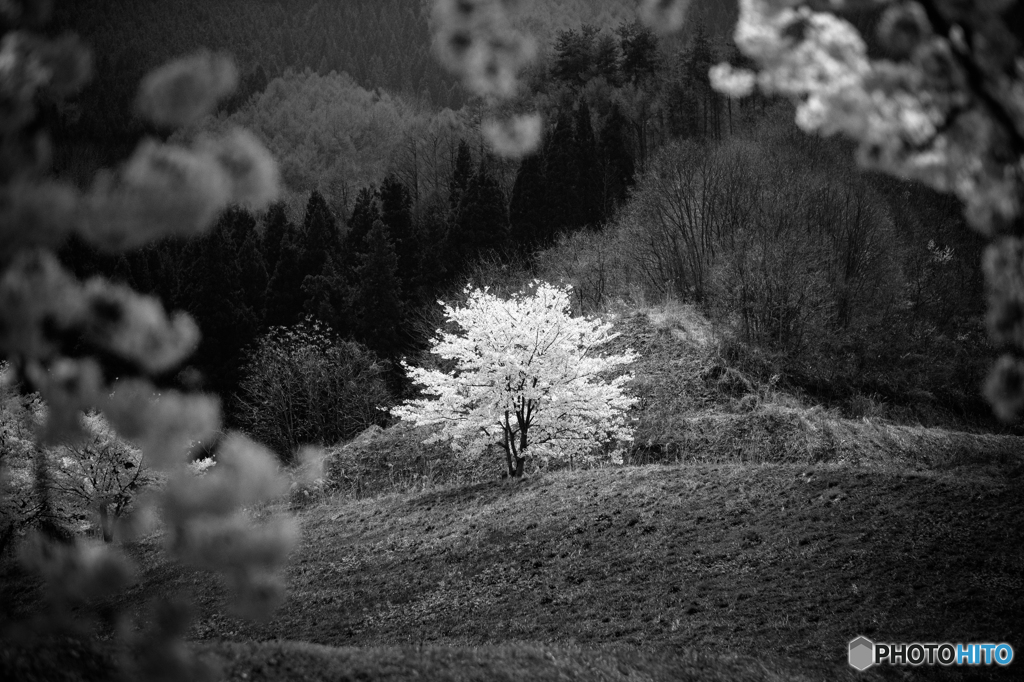 XPro2 F-Simulation ACROS