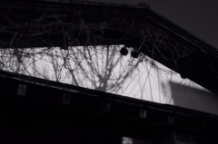 _4120417_3