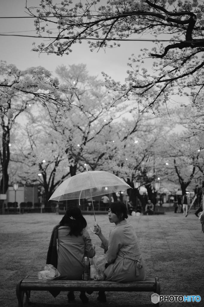 雨