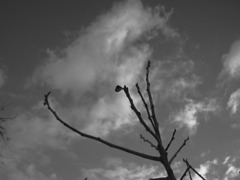 _3270293_1