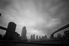 東京　空
