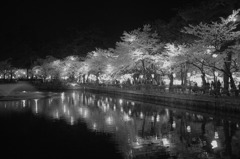 _4180523_2