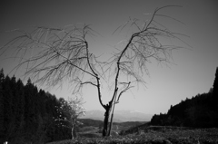 _MG_0502_2
