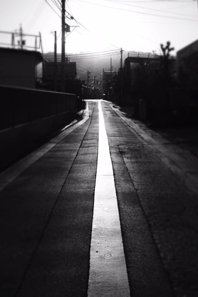 _4120425_3