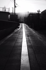_4120425_3