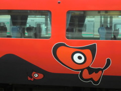 CIMG3254