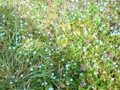 CIMG3044