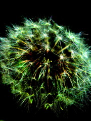 CIMG0709 