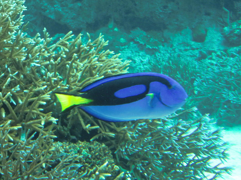 CIMG0572