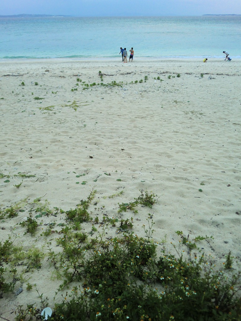 CIMG0606