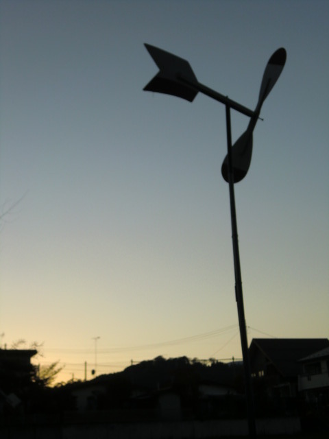CIMG0874
