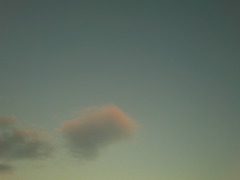 CIMG1038