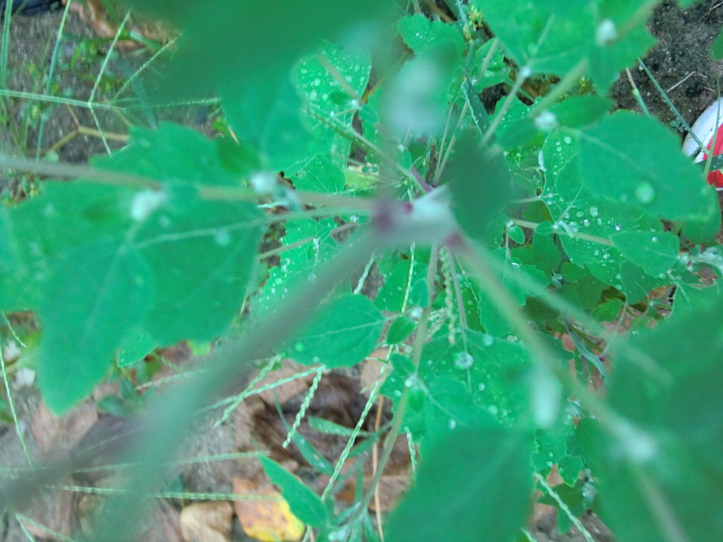 CIMG0090