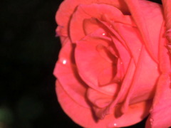 CIMG0339