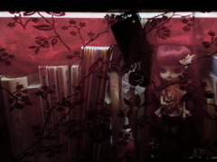 CIMG0264
