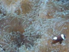 CIMG0576