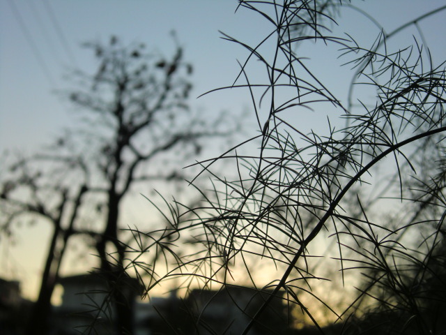 CIMG0873