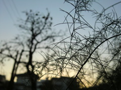 CIMG0873