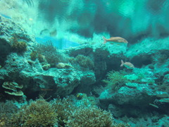 CIMG0571