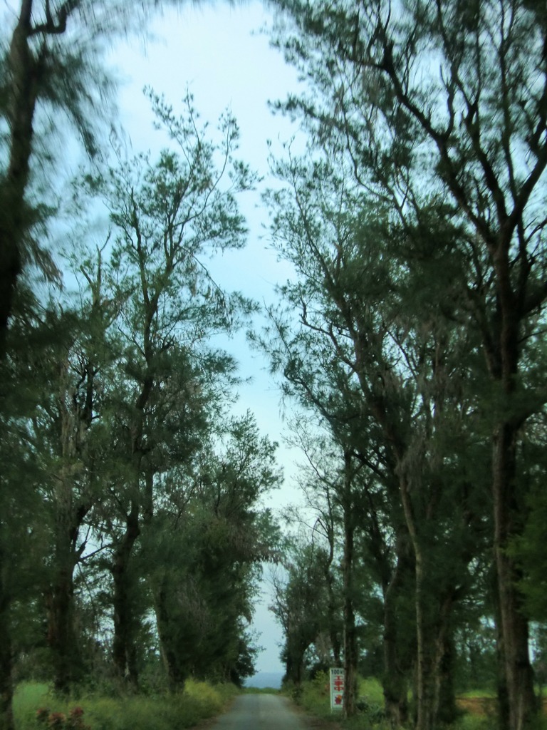 CIMG0601